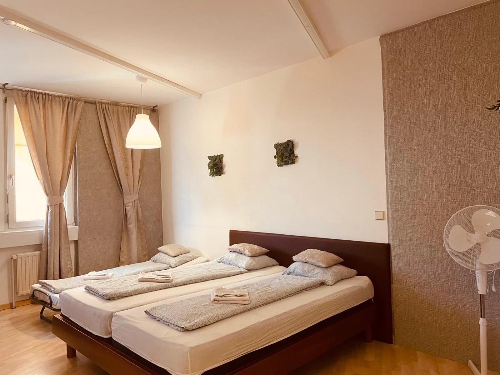 Veni Apartments Graz Bagian luar foto